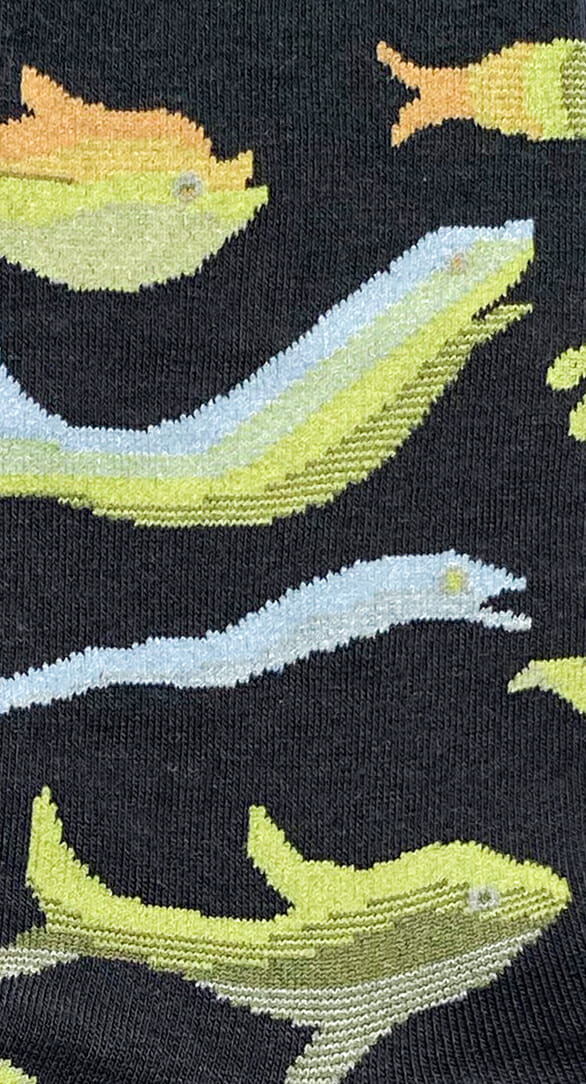 Detail der Fantasie-Socke Fische