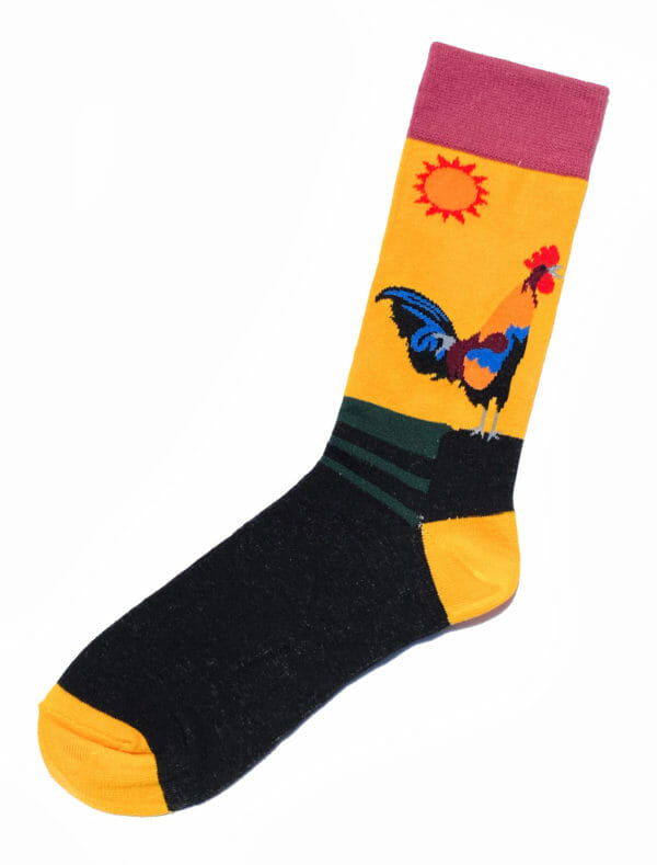 Chaussettes fantaisie French Sunrise