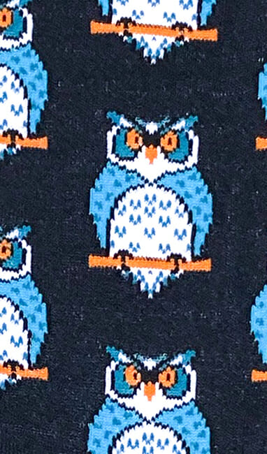 Détail des chaussettes colorées Hibou