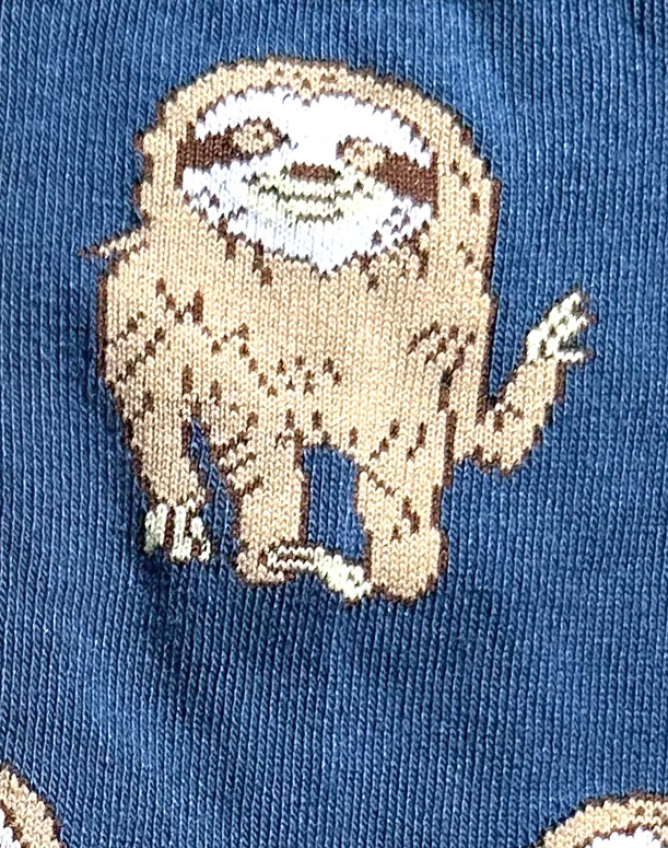 Chaussettes sympa en coton avec motif de notre ami paresseux