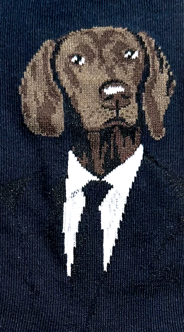 Chaussettes fantaisie en coton avec motif rigolo de chien dans un costard