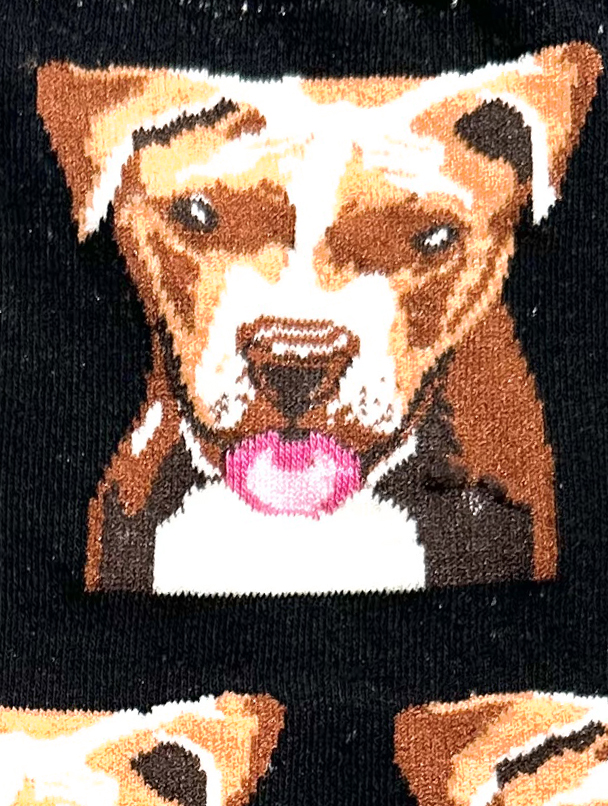 Chaussettes colorées en coton avec motif de chien