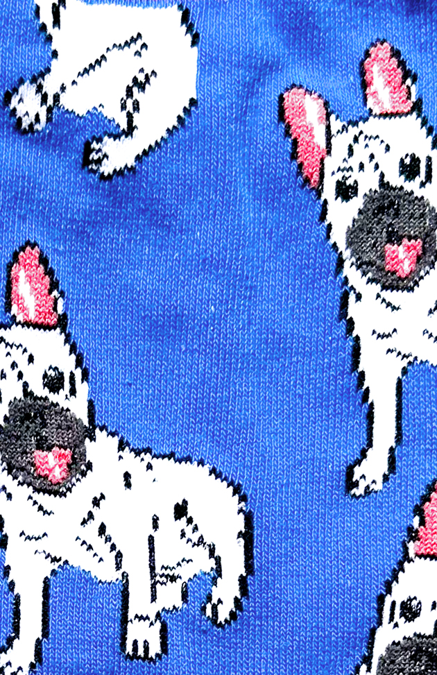 Chaussettes sympa en coton avec motif rigolo de petit bulldog blanc sur fond bleu électrique
